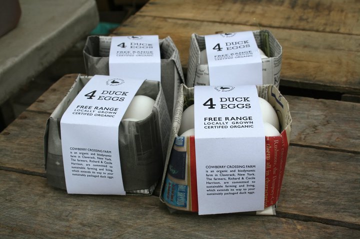 eggs-eco-packaging .jpg