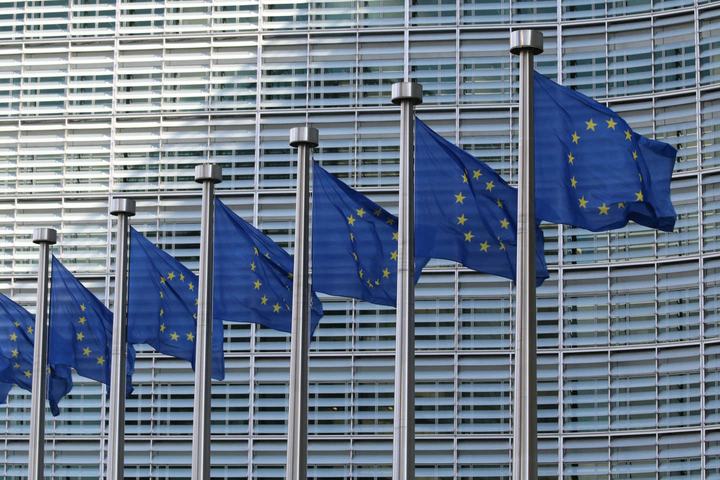 EU new customs fee flags