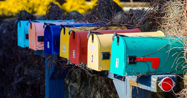 Shopify newsletters for agency owners